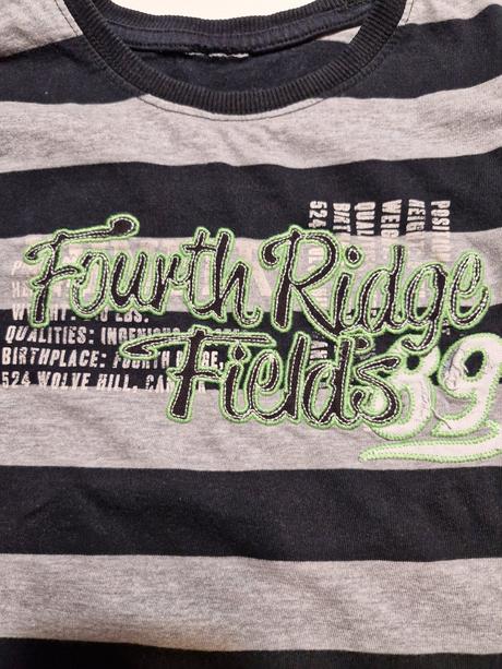 Tričko, topolino,116