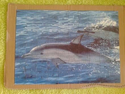Puzzle delfín,
