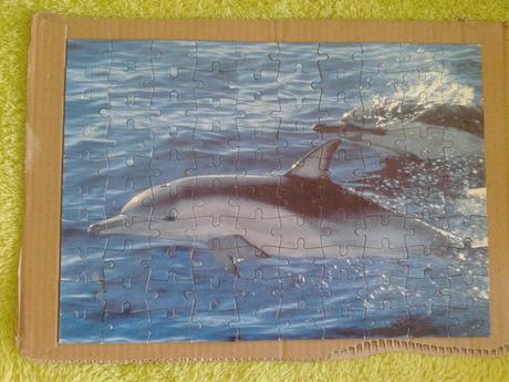 Puzzle delfín, 
