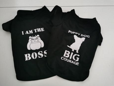 Vecicky pre maleho psika,