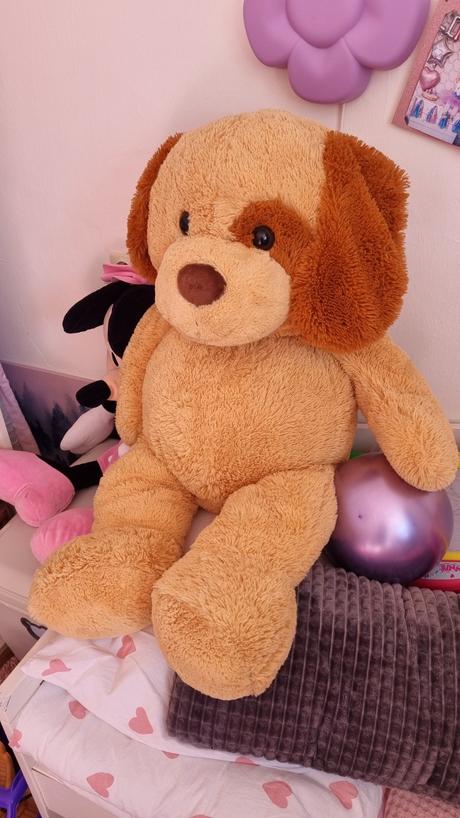 Veľký plyšový psik, 