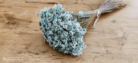 Glixia - blankyt - 20 gramov,