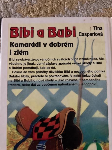 Bibi a bubi. kamarádi v dobrém i zlém (1993),