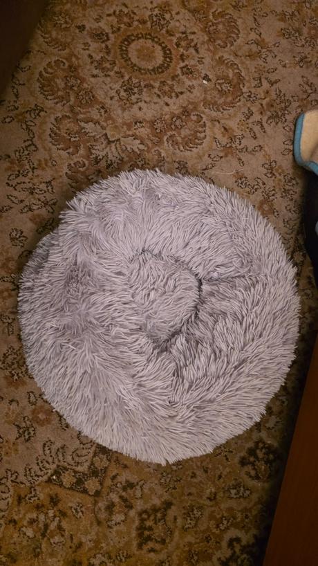 Pelech macka pes do8kg, 