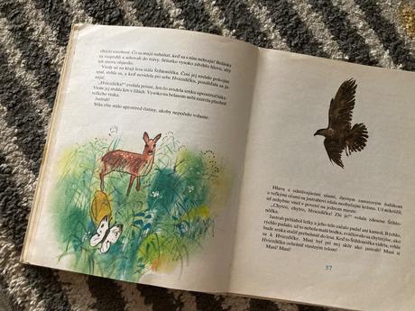 Parožtekovci-prvé vyd.1982, 