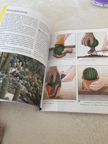Kniha kaktusy, 
