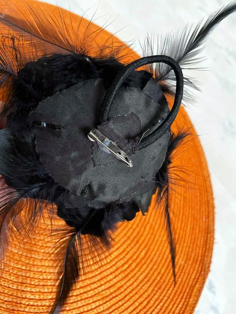 Zaujímavá brošňa, 