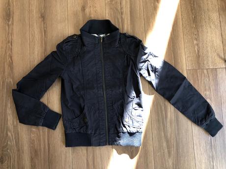 Bunda st. bernard, st. bernard,146