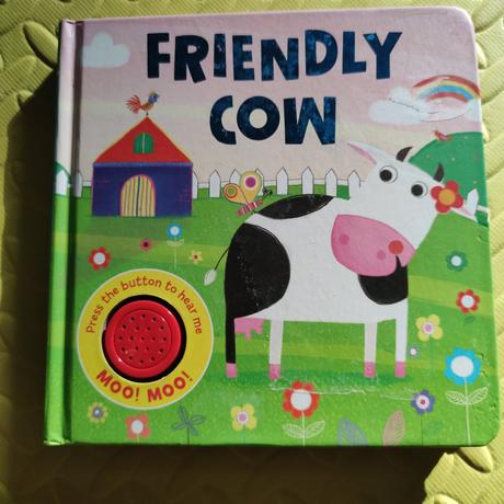 Friendly cow, 