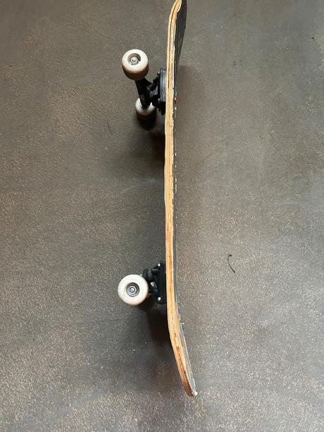 Skateboard, 