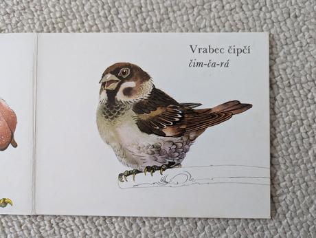 Medzi vtákmi leporelo, 