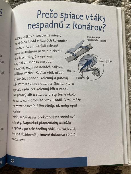 Svet okolo nás zvieratá a rastliny,