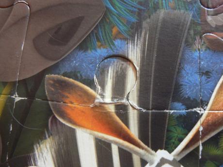 Madagaskar puzzle 620 x 460 mm , 