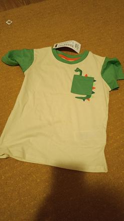 Tričko dinosaurus (veľkosť 104/110), pepco,104 / 110