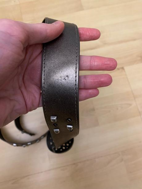 Opasok s keltskou sponou,