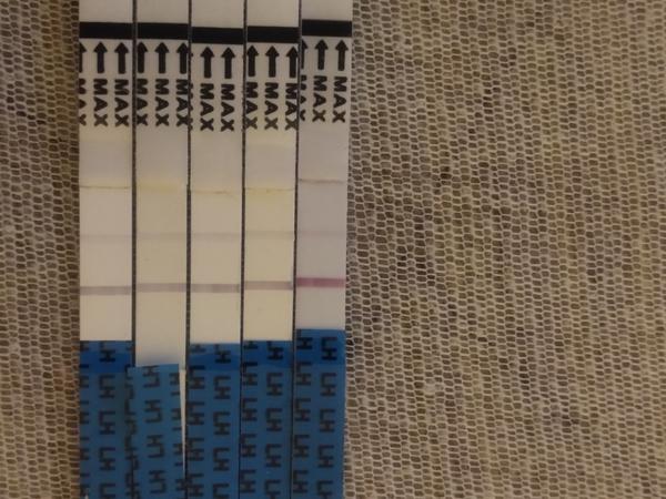 Sú ovulačné testy stále rovnako silné?