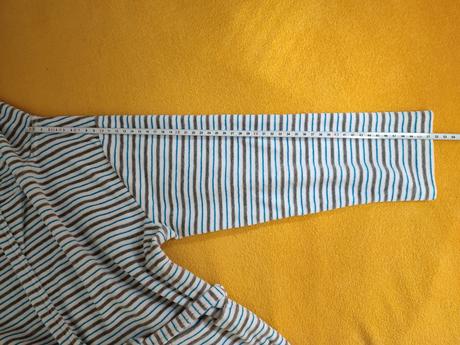 Župan slovenka, slovenka,116