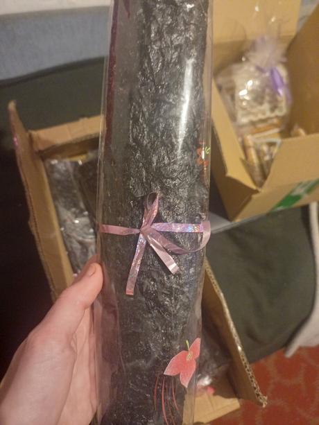 Sušená slivková ,,koža" bez chemických postrekov, 