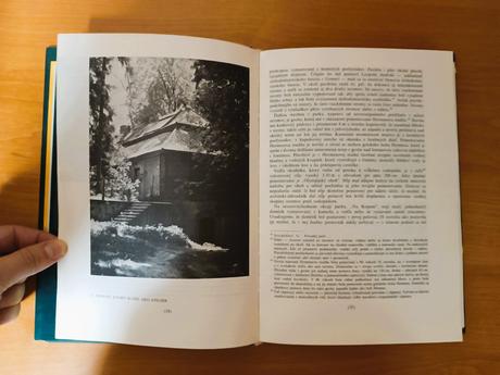 Martin kriak - prírodný park v betliari, 