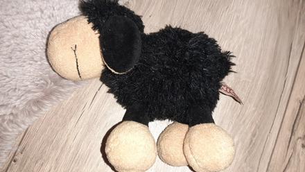 Ovečka nici, 