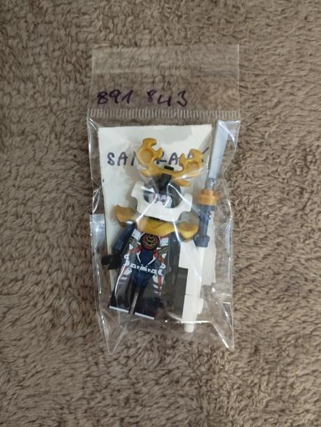 Panaci lego ninjago, 
