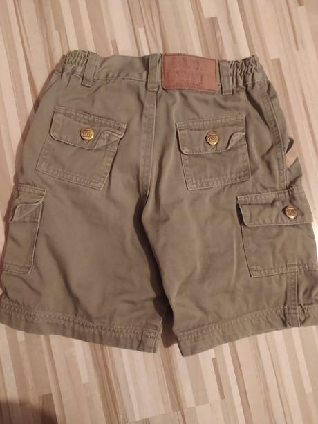 Kratase, ladybird,134