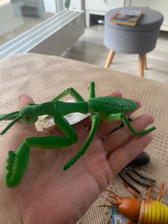 Veľký hmyz chrobák modlivka, dekorácia do záhrady, 