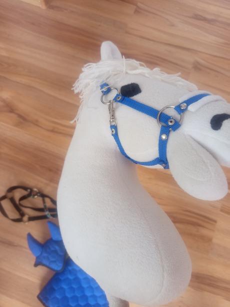 Hobby horse,