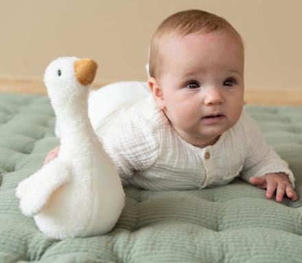 Little dutch roly-poly goose,