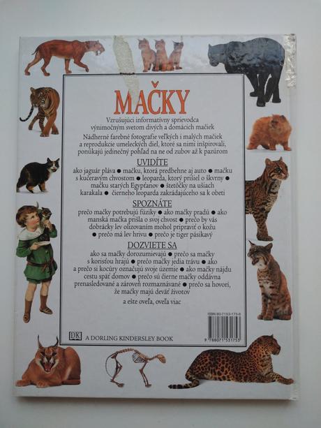 Mačky, 