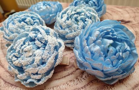 Zimná pivonka - kvet s kúzlom snehu a mrazu, 