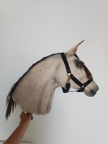Hobby horse,