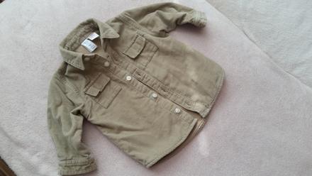 Mencestrova kosela hrubsia, gap,68