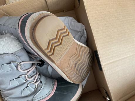 Snehule sorel, sorel,33