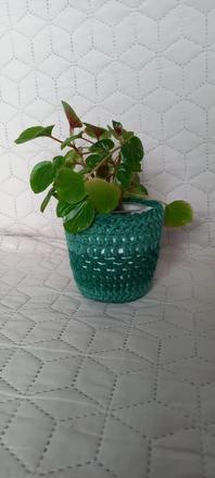 Malé háčkované návleky na kvetináče, 