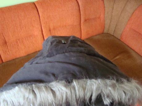 Čokoládovohnadá  párka, 38