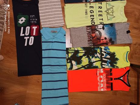 Tričká krátky rukáv, wolf,158