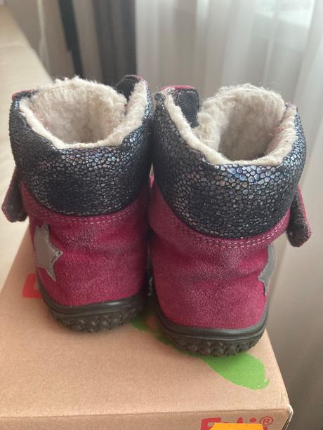 Filii himalaya, filii,25