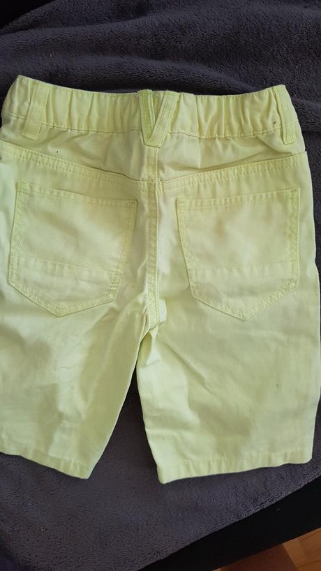 Kratasy, palomino,104