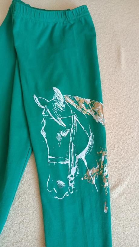 Super legíny č.140, 140