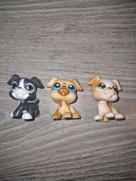 Littlest pet shop boxer,