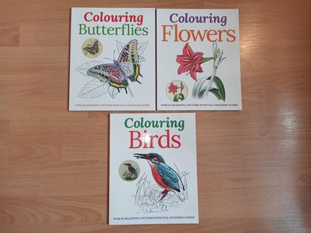 Colouring birds flowers butterflies,