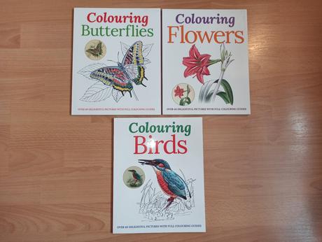 Colouring birds flowers butterflies, 