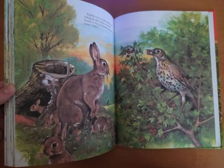 Moja najkrajšia kniha o zvieratkách, 