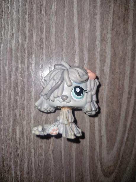 Littlest pet shop komondor, 