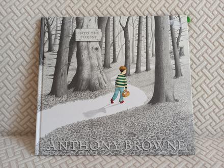 Anthoney browne - into the forest hb,