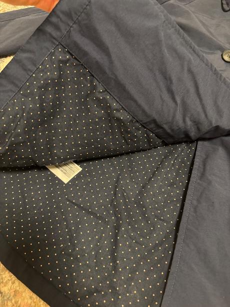 Kabatik mango, mango,164