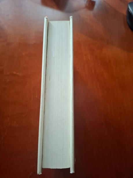 Kniha mateo alemán dobrodružstvá guzmána z alfarac, 