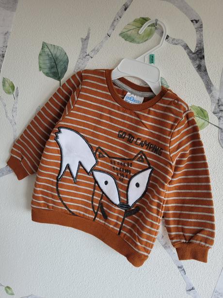 Chlapčenská mikina 80, pepco,80