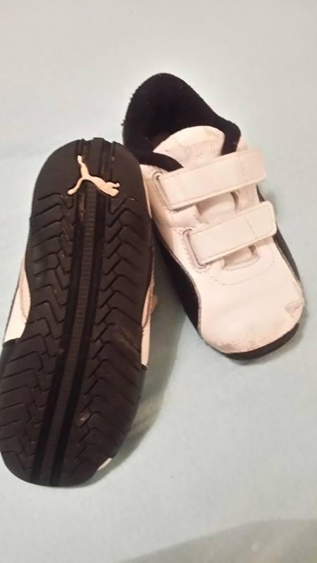 Botasky, puma,20